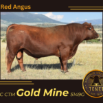 PCC CTM Gold Mine 5149G